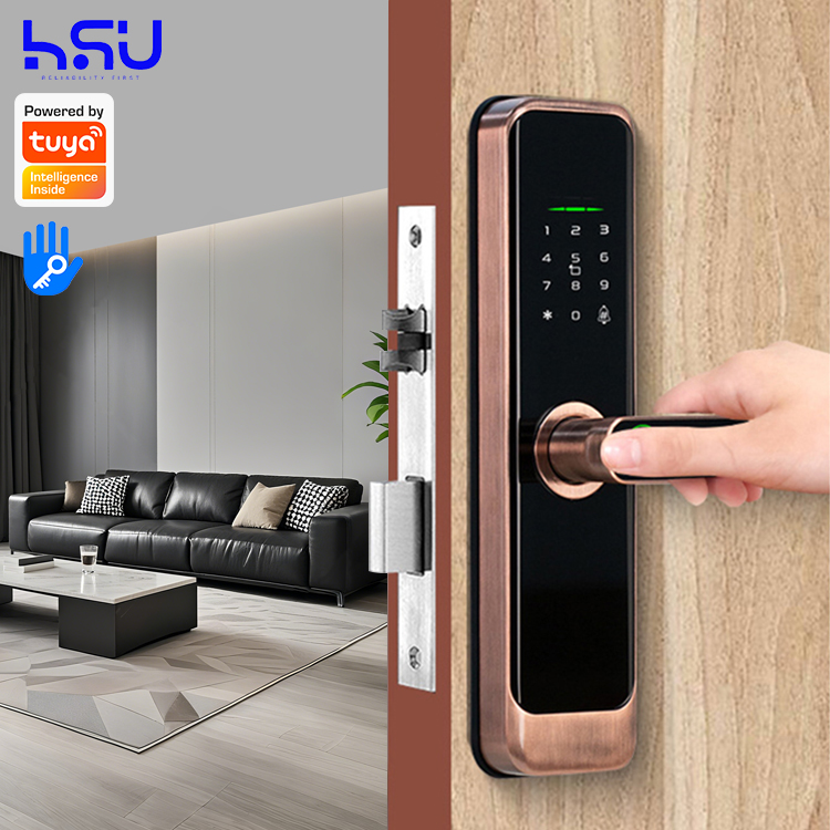 Digital Smart Doorlock Passcod - Home Security Door 评论和价格