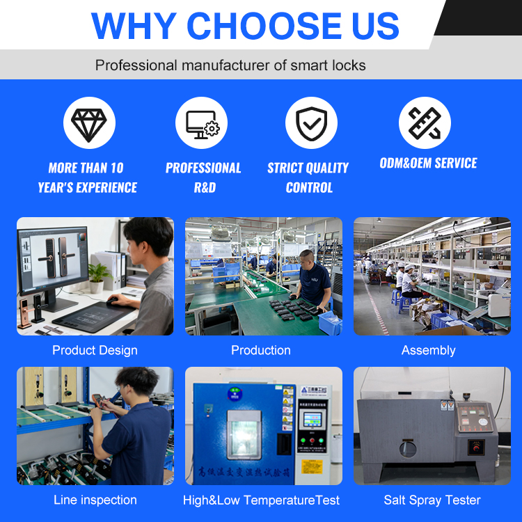 Digital Smart Doorlock Passcod - Home Security Door 评论和价格
