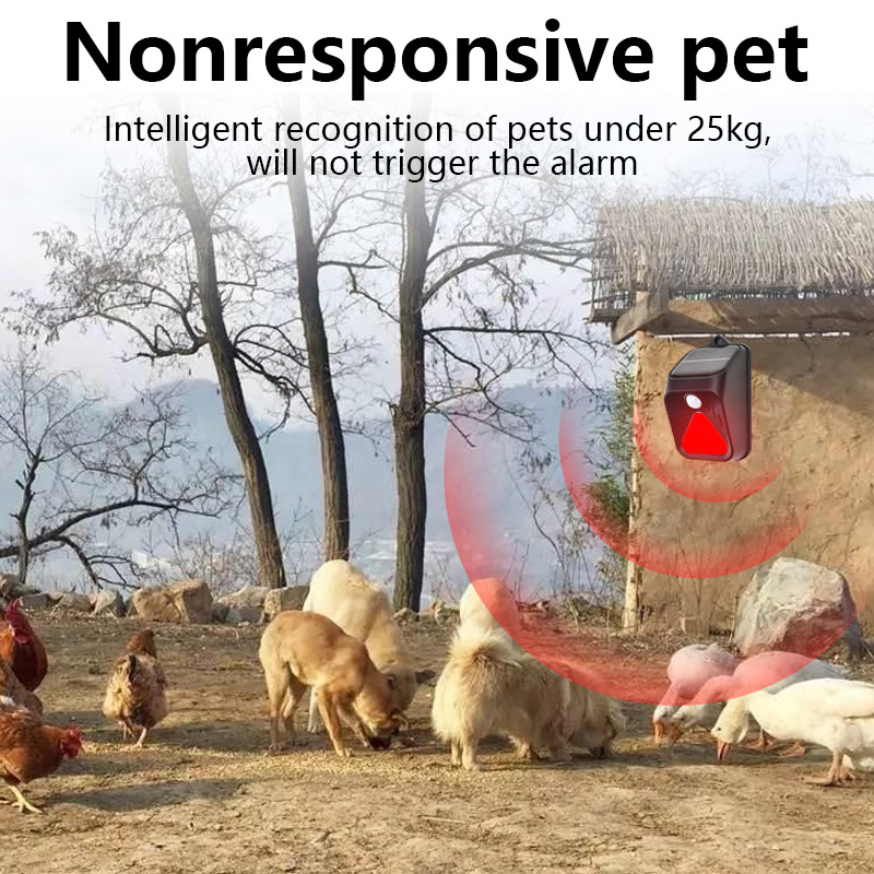 Waterproof Solar Powered Alarm - Home Security Yard Sensors 评论和价格